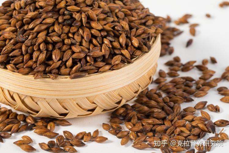 女人要想皮肤好,全谷物每天不能少